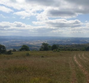 Du Causse au Rougier, au départ de Saint-Affrique - Saint-Affrique - 4