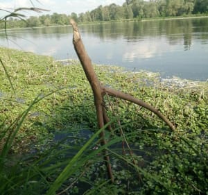 Balade aux trois eaux - Veuzain-sur-Loire - 5