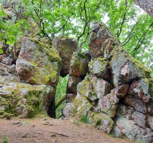 Ribeauvillé et ses 3 châteaux - Ribeauvillé - 3