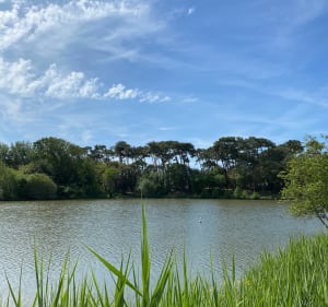 Zondagwandeling in Port Bourgenay - Talmont-Saint-Hilaire - 5
