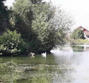 D'une vallée à l'autre en passant par le rond d'Orléans - Chauny - 3