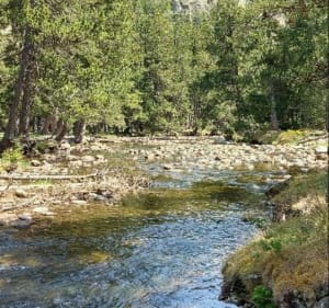 Super balade sur Les bords de la Têt - Bolquère - 3