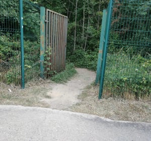 Tegeval entre ville et bois - Sucy-en-Brie - 3