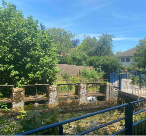 Tour du lac de Divonne et au marais des Bidonnes - Divonne-les-Bains - 5
