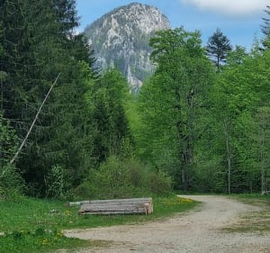 Aiguilles de Baulmes - Jougne - 5