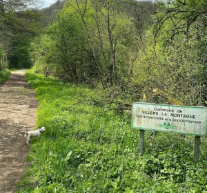 Rando le long de Moulaine et ses 3 sources - GILLIAN - 4