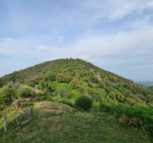 Balade au Mont Oppido - Chiatra - 3