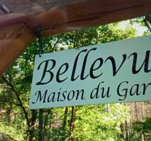 Boucle autour du camping Les Alicourts - Pierrefitte-sur-Sauldre - 4