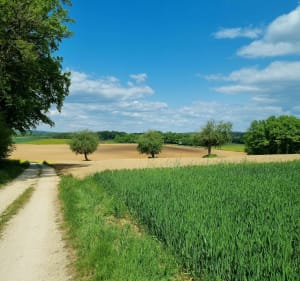 Boucle Pennesières - Courboux - Pennesières - 3