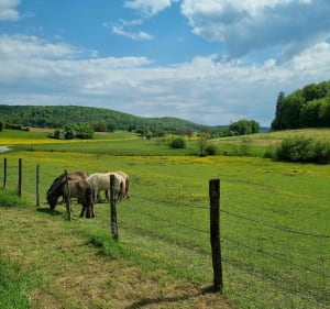 Boucle Pennesières - Courboux - Pennesières - 5