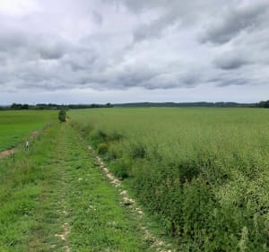 Le Hanouard entre vallée et plateau - Le Hanouard - 4