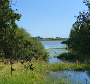 Le grand tour du lac de Rillé à vélo - Huttopia - 3