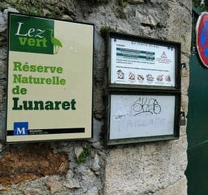 Parc Méric à Montpellier aller-retour - Montpellier - 4