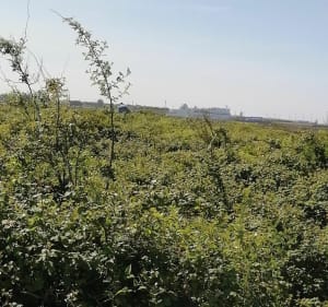 Balade en vélo depuis le Home Varaville. - Le Home Varaville - 4