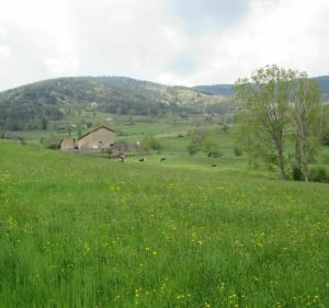 Boucle bucolique autour de Vanosc - Vanosc - 3