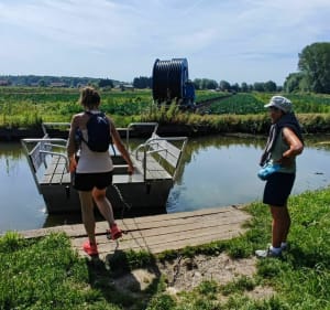 Dans le marais audomarois - Clairmarais - 5