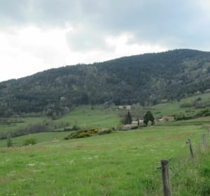 Boucle bucolique autour de Vanosc - Vanosc - 5
