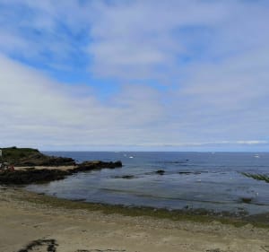 Le petit sente des Marais - L'Île-d'Yeu - 4