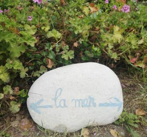Le petit sente des Marais - L'Île-d'Yeu - 5
