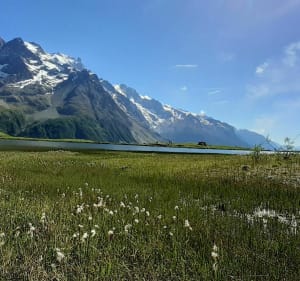 A la découverte du lac du Pontet depuis Villar-d'Arène - Villar d'Arêne - 5