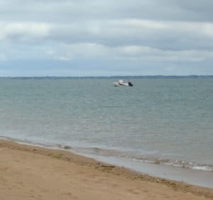 Excursion autour de la réserve naturelle de Müllembourg - Noirmoutier-en-l'Île - 3