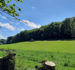 Charmes du Calvados et balade trépidante dans les bois - Huttopia - 3