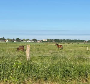 Een korte wandeling in de Périseaux - Vendeville - 4