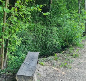 Balade tranquille au-dessus d'Hostun. - Hostun - 3