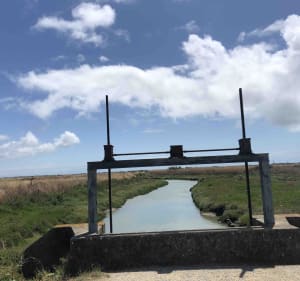 Aventure bucolique à vélo vers la réserve de Lilleau des Niges - Ars-en-Ré - 5