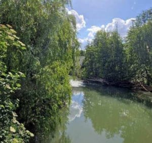 Balade autour des villages du morin… - Dammartin-sur-Tigeaux - 3