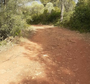 Petite balade en dessus de Bouzigues - Bouzigues - 4