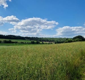 Balade autour des villages du morin… - Dammartin-sur-Tigeaux - 4