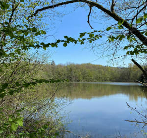 Les Côtes des Granges en Vallée de l'Ognon - Voray sur l'Ognon - 3