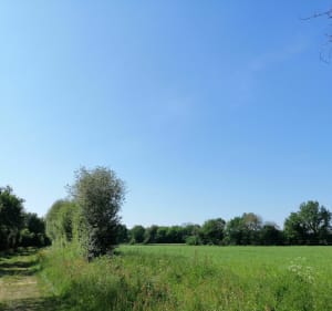 Boucle au hameau de l'Audouinière - Sainte-Flaive-des-Loups - 5