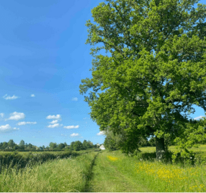 Moment apaisant entre Morvan et Auxois - Arnay-le-Duc - 3