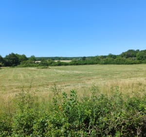 Le bonheur grandeur nature à Bracieux et à Tour-en-Sologne - Bracieux - 4
