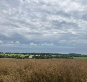 Chemins entre creux et vallons - Beaupréau-en-Mauges - 3