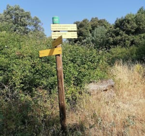Balade de Bagard par le hameau de Valz à VTT - Bagard - 3