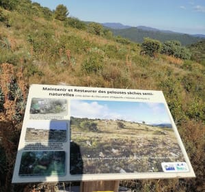 Fort de Rohan - Bagard - 6