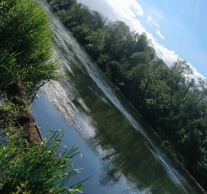 Balade au bord de l'eau - La Wantzenau - 5