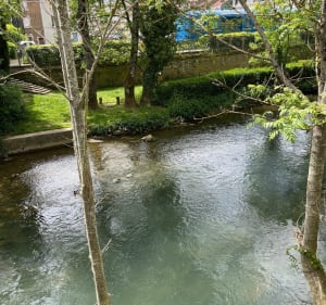 Longuyon Nature - Longuyon - 3