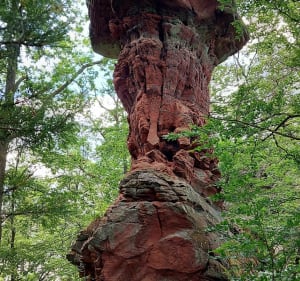Randonnée en Pays de Hanau. - Philippsbourg - 4