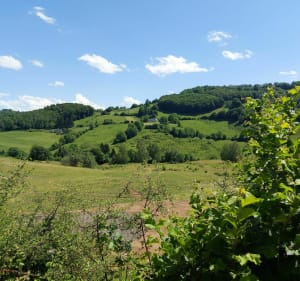 Balade de Jointy - Saint-Amandin - 5