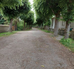 De tocht door Provins langs de wallen - Provins - 3