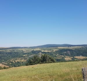 Un petit tour sur le plateau de l'Aubrac - Saint-Chély-d'Aubrac - 3