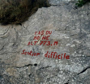 Run matinale dans la Sainte-Victoire - Beaurecueil - 4