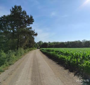 St Romain - Leyrieu en boucle detoxifiante - Loyettes - 3