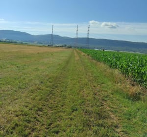 St Romain - Leyrieu en boucle detoxifiante - Loyettes - 4