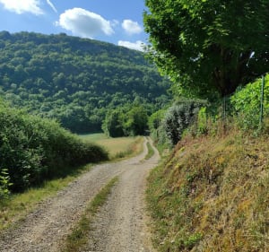 St Romain - Leyrieu en boucle detoxifiante - Loyettes - 5