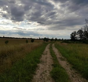 Sentier pédestre de la boucle des Maillys - Les Maillys - 3